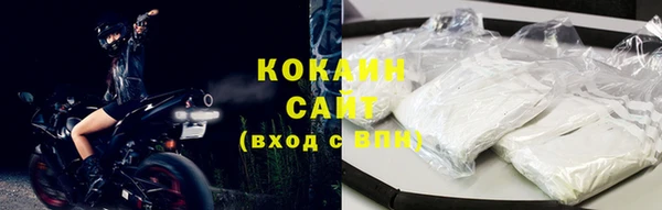 шишки Арсеньев