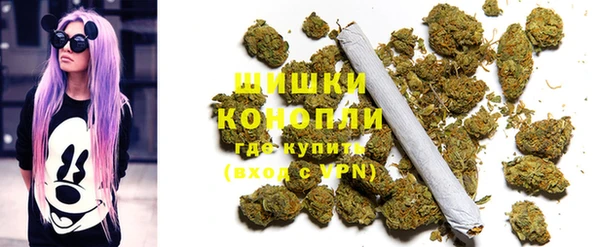 шишки Арсеньев