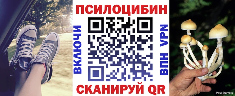 МЕГА где найти наркотики Певек Псилоцибиновые грибы мицелий